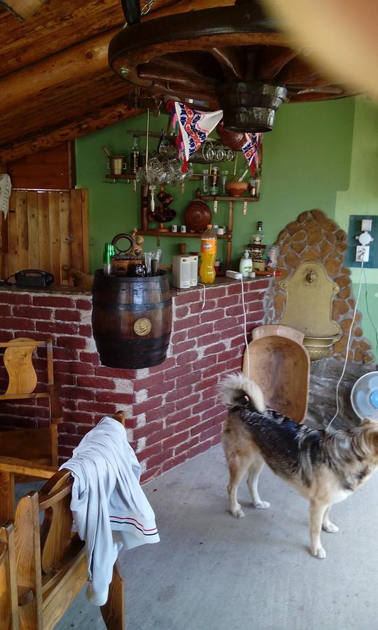 Dobra Casa Cosmin 게스트하우스 외부 사진